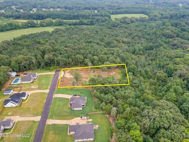Aerial - Property Lines East