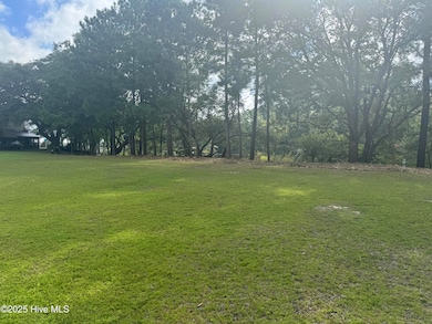 563 Creek Place Rd, Arapahoe, NC 28510 - photo 3