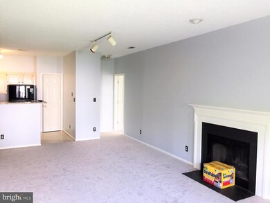 14322 Climbing Rose Way unit 206, Centreville, VA 20121 - photo 7