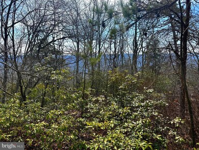 11 acs Summit Dr, Franklin, WV 26807 - photo 3