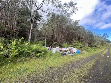 18-1272 Kauai St, Mountain View, HI 96771 - photo 3