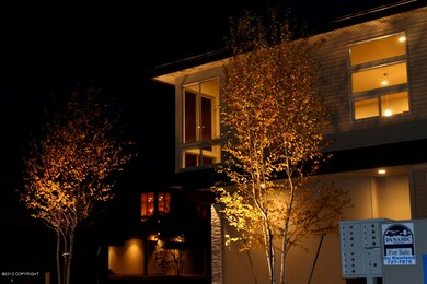 night view