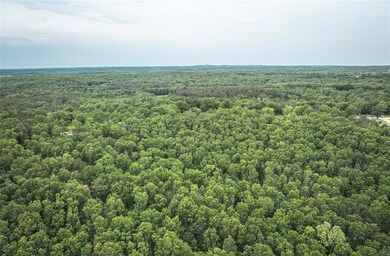 12828 Cadle Rd, Sherrill Township, MO 65542 - photo 7