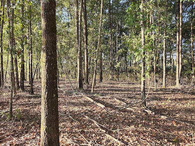 Brooks Rd, Hurtsboro, AL 36860 - photo 6