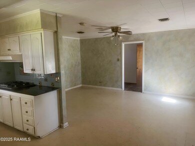 916 Inez Ave, New Iberia, LA 70560 - photo 2