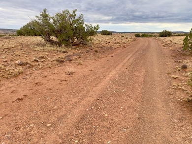 Tbd N5333, Concho, AZ 85924 - photo 7