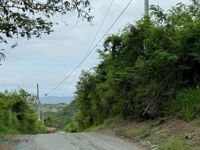 00637 Road Pr #368 Bo MacHuchal Sabana Grande, Sabana Grande, PR 00637 - photo 4