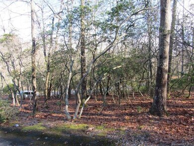 425 Walnut Valley Pkwy unit Lot 96, Arden, NC 28704 - photo 4
