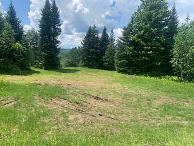 3 Silver Maple Rd, Colebrook, NH 03576 - photo 4