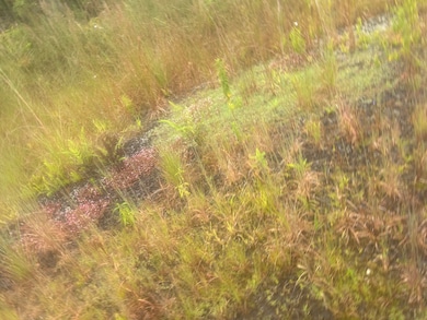 0 Ohialani Rd unit 723524, Volcano, HI 96785 - photo 4