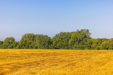 Tbd 430 Ave SW, Bygland, MN 56723 - photo 2