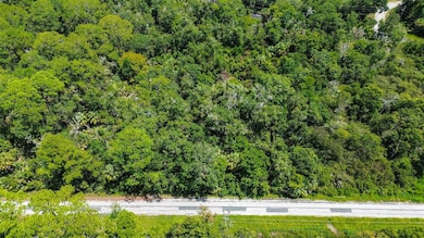 8683 N Bellflower Way, Crystal River, FL 34428 - photo 3