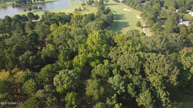 Annandale Property-09