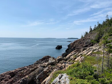 IMG_3706