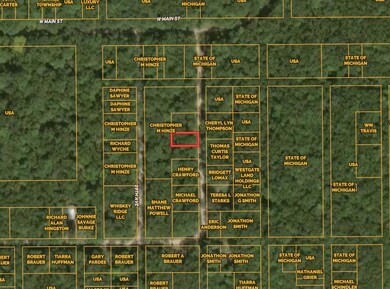 V/L 40th Ave, Merrill Township, MI 49309 - photo 6