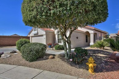 Front_Yard_1