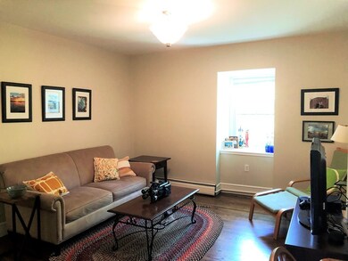 29 E Springfield St unit 4, Boston, MA 02118 - photo 7