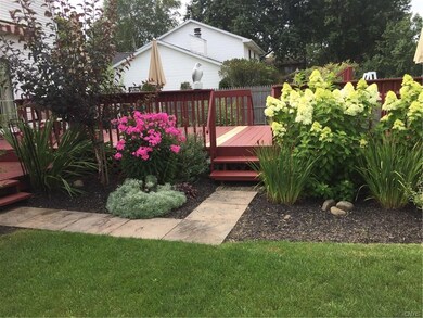 Great summer landscaping.