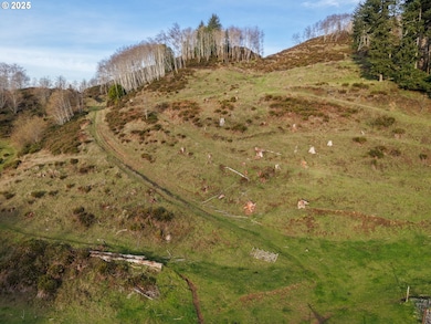 96312 Shutters Creek Rd, North Bend, OR 97459 - photo 6