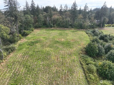 0 NW 389th St unit NWM2280971, Woodland, WA 98674 - photo 6