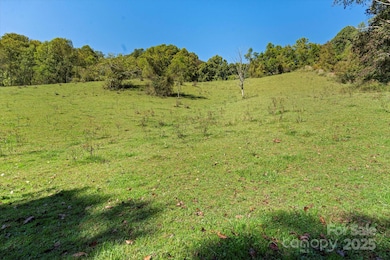 1623 Ammons Branch Rd, Marshall, NC 28753 - photo 4