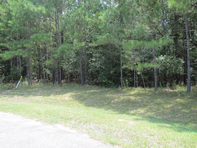 28013 Arrowhead Trail, Magnolia, TX 77355 - photo 2