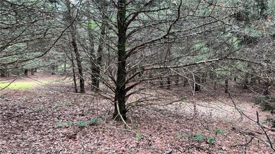 Partially wooded area