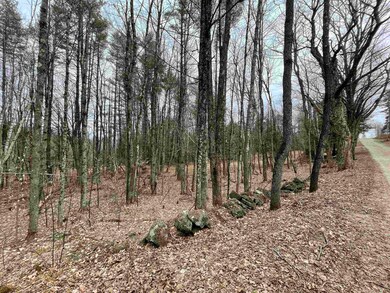 0 Turkey Shoot Rd unit 4906923, Acworth, NH 03601 - photo 7