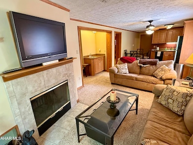 143 E Valley Point Ln unit 1323, Claysburg, PA 16625 - photo 2