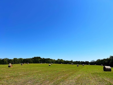 880 Wasden Rd, Hope Hull, AL 36043 - photo 2