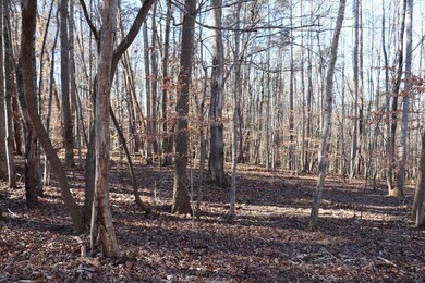 Lot 2C Wilderness Way, Moneta, VA 24121 - photo 7
