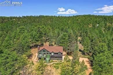 4041 Trout Creek Rd, Woodland Park, CO 80863 - photo 7