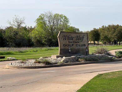 21041 Shady Oak Ct, Whitney, TX 76692 - photo 5