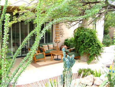 Back patio