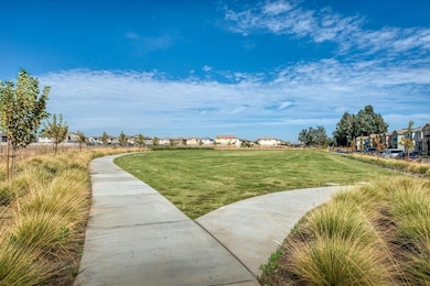 GREEN SPACE IN THE LOMA VISTA COMMUNITY