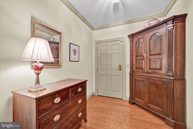 511 Brightwood Club Dr, Lutherville Timonium, MD 21093 - photo 4