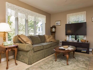 Light filled Living Room