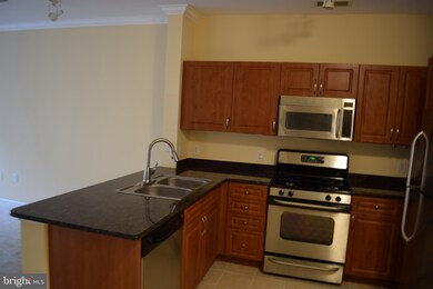 Bryson At Woodland Park unit 206, Herndon, VA 20171 - photo 3