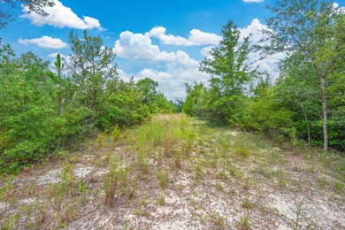 90 Acres Union Hill Rd, Vernon, FL 32462 - photo 5