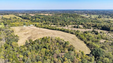 4994 Parks Ridge Rd, Vevay, IN 47043 - photo 6