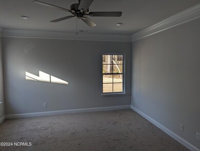 PXL_20240221_205422455