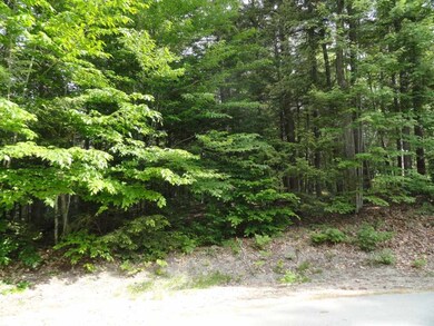0 Lower Waldron unit 39 4697655, Meredith, NH 03253 - photo 2