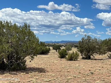 70 Off of Volcano, Ash Fork, AZ 86320 - photo 3