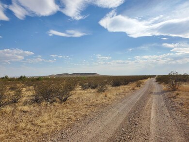000 Cherry Creek Ave, Horizon City, TX 79928 - photo 2