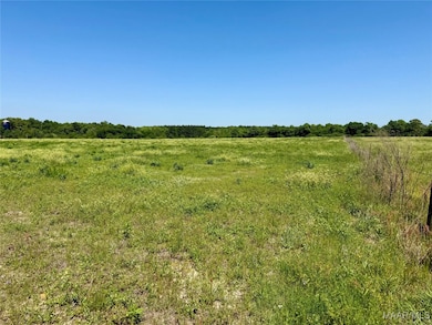 11.25 Acres Huskey Rd, Dothan, AL 36303 - photo 7