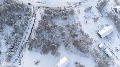 46110 Spruce Place, Nikiski, AK 99611 - photo 7