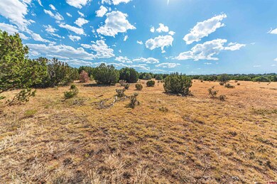 TBD Twin Lake Ranches Lot 140, Walsenburg, CO 81089 - photo 4