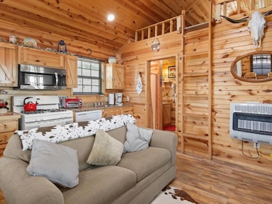 161896 N 4337 Rd, Tuskahoma, OK 74574 - photo 3