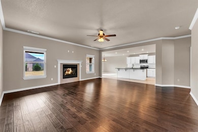 4023 Butterfly Ave, Springdale, AR 72764 - photo 6