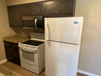 319 SE 3rd St unit 201, Grand Prairie, TX 75051 - photo 6